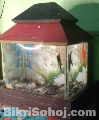 Fish Aquarium (12×8×8)